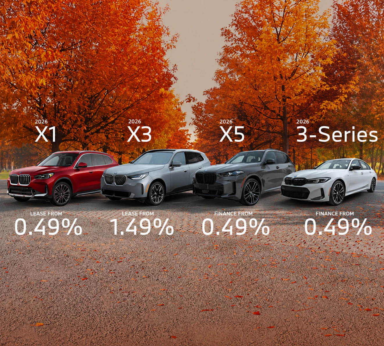 Bavaria BMW: Model Lineup