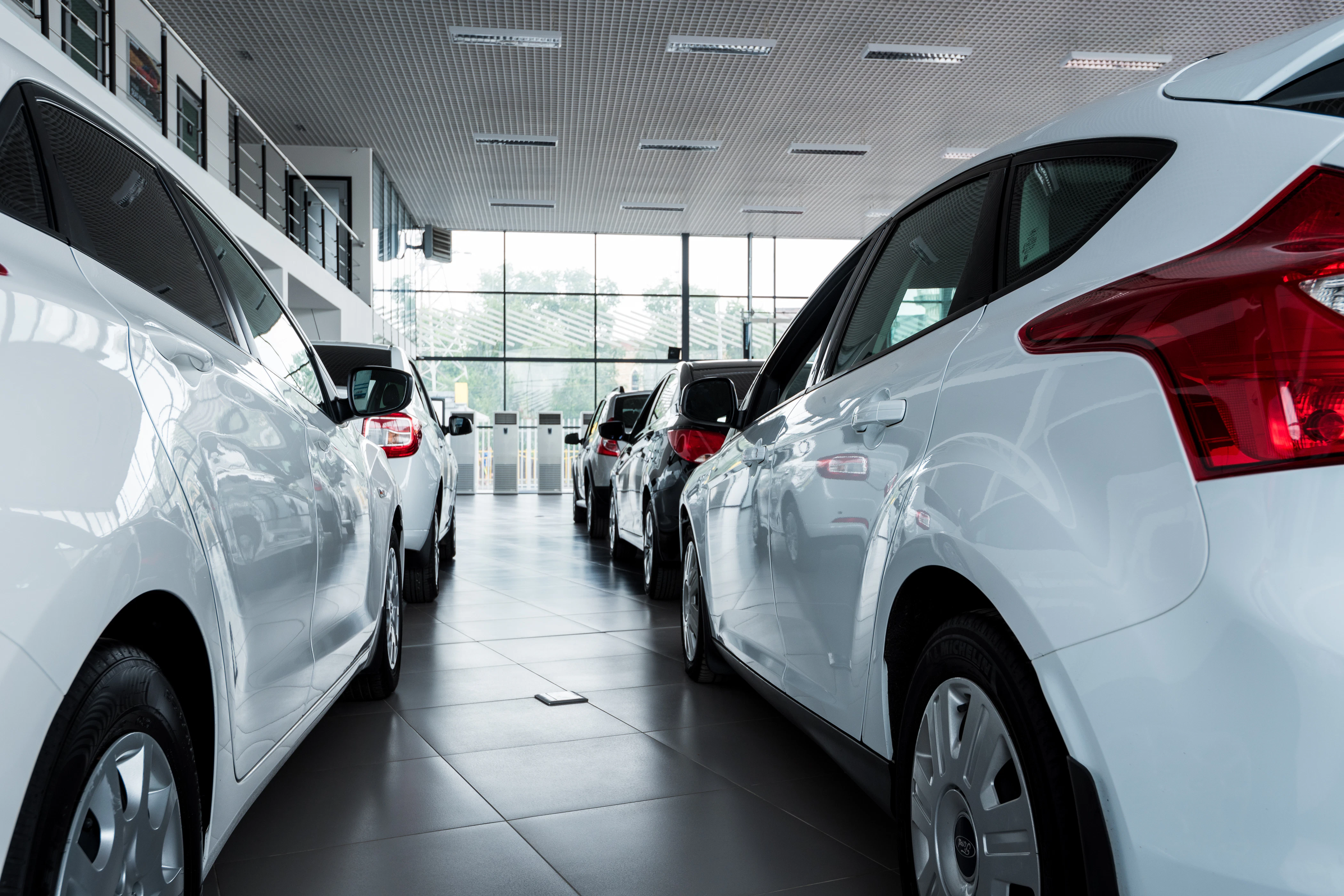 New vehicles displayed in modern dealership showroom with bright lighting and glass windows