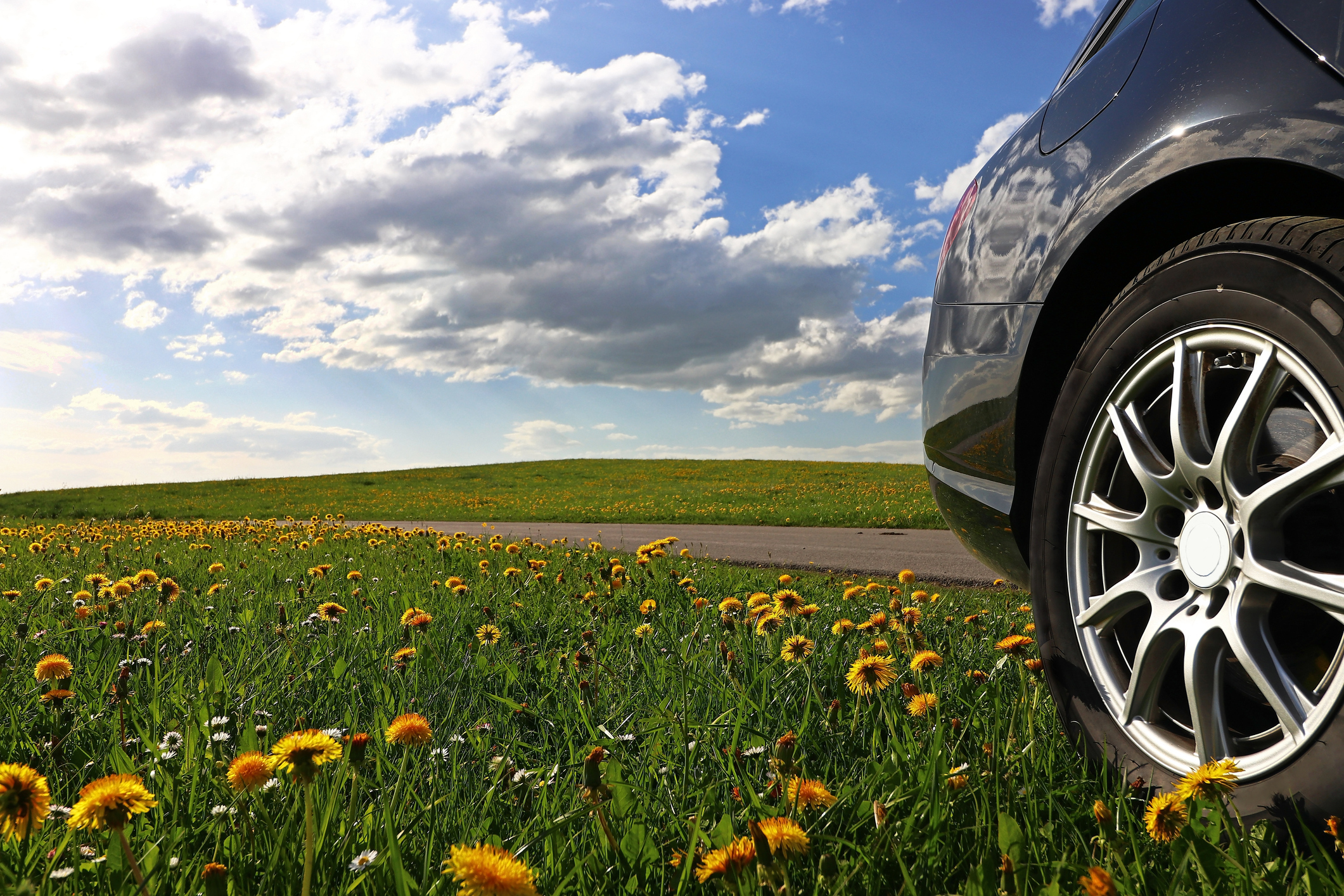 Car in feild