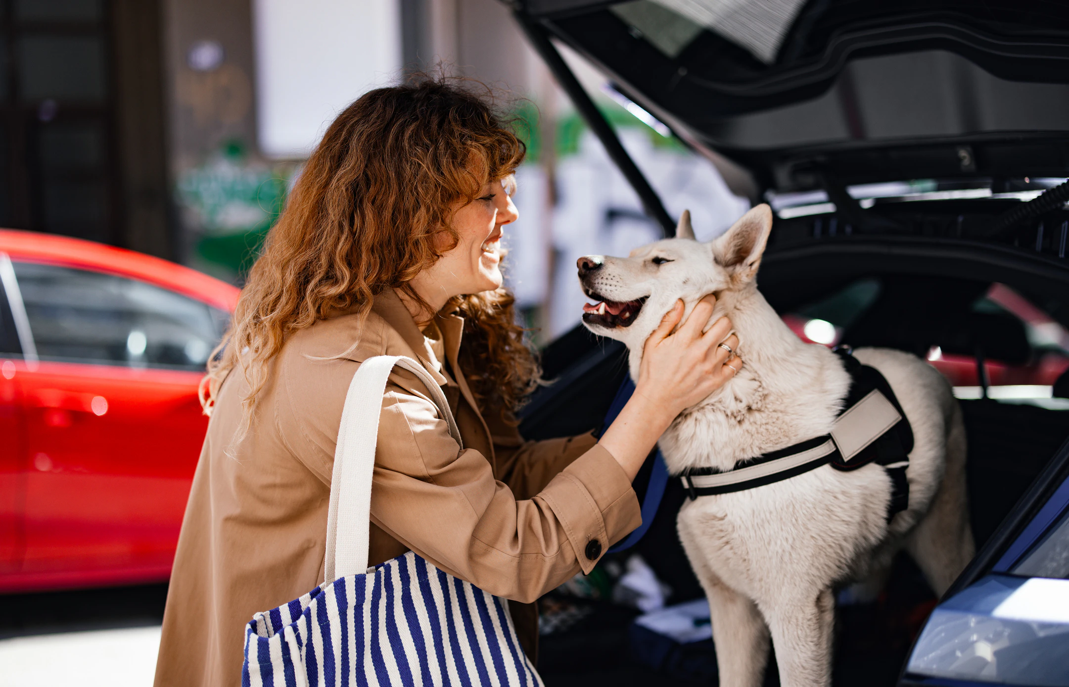 Customer greeting a dog in the back of a vehicle at a dealership