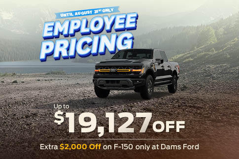 DAMS