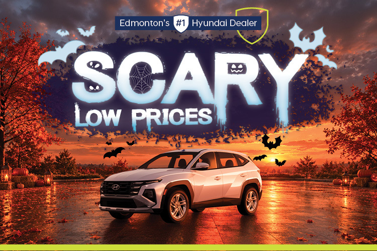STH Scary Low Prices
