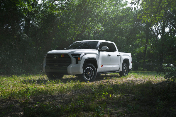 White 2026 Toyota Tundra TRD Rally Package parked on grassy terrain surrounded by trees