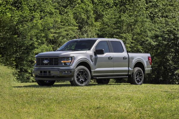 Ford F-150 pickup truck parked on grass with trees in background