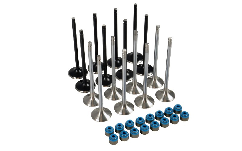 Ford Valve Set