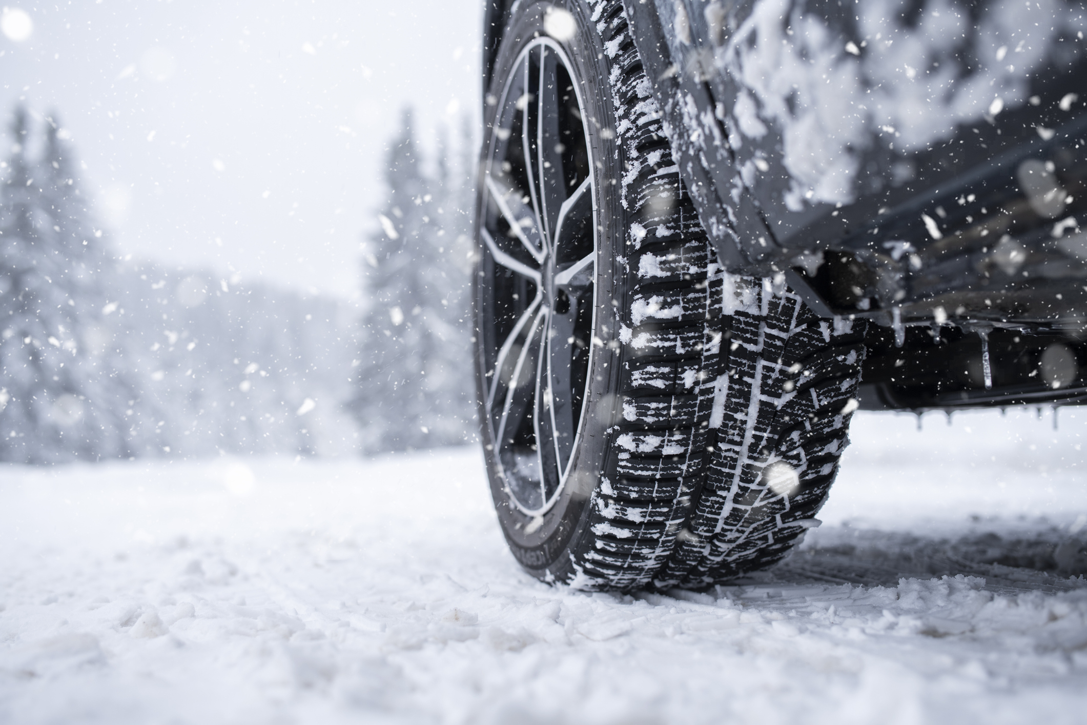 Winter Tires, Go Auto