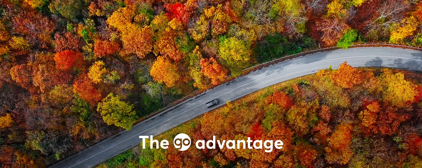 A birds-eye view of a black car on a winding road with trees with fall-coloured leaves on either side. The go advantage